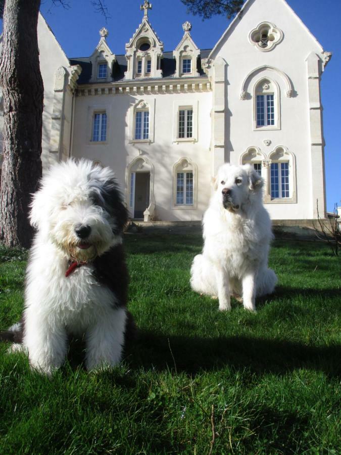 Le Manoir De Sanilhac Bed and Breakfast Notre-Dame-de-Sanilhac Esterno foto